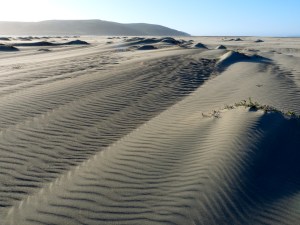 Dunes