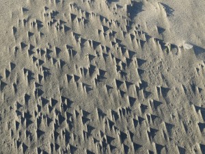Sand, Wind, Patterns