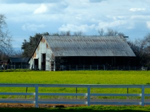 Barn at Road 29