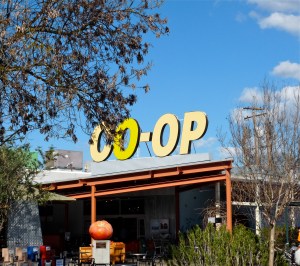 Davis Food Coop