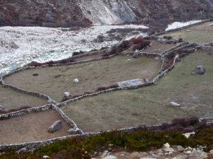 farms along imja khola