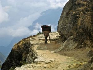 leslie's of sherpa near namche