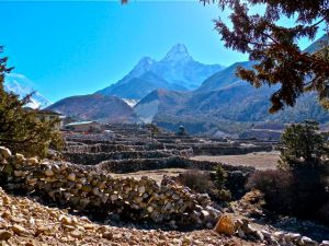 stone walled farms in pangboche