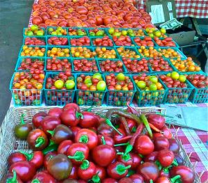 farmers market tomatoes