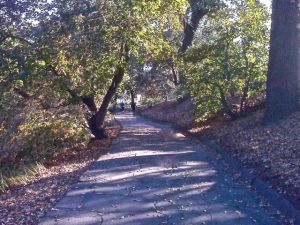 fall along the creek