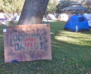 occupy davis