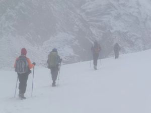 rick's traversing field