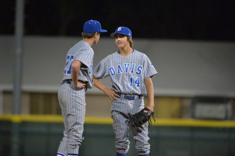 dhs-wdlnd35-(ZF-4733-24516-1-002)