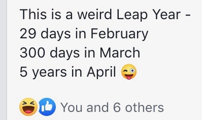 Screen Shot 2020-04-27 at 11.13.35 PM